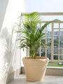 Elaris Terra Sculpt Planter