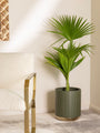 Torino Verde Luxe Planter